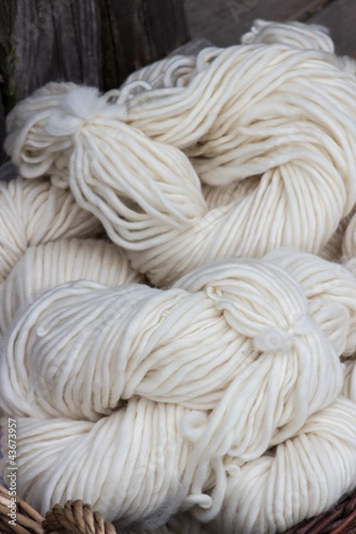 Fototapeta Schurwolle