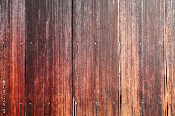 Fototapeta 板塀の外壁