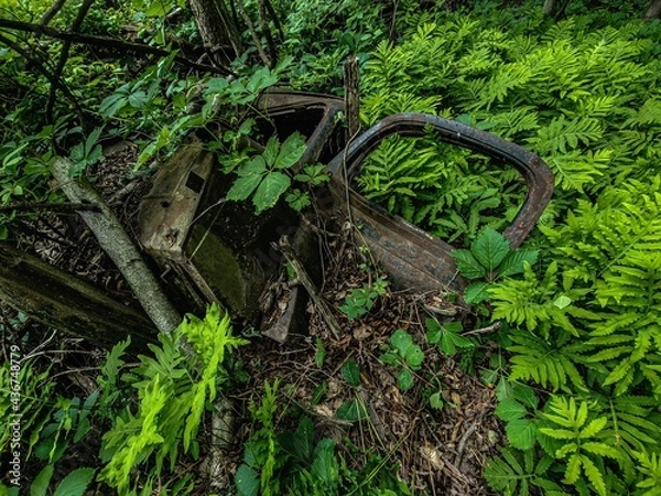 Obraz old abandonned car in the forest