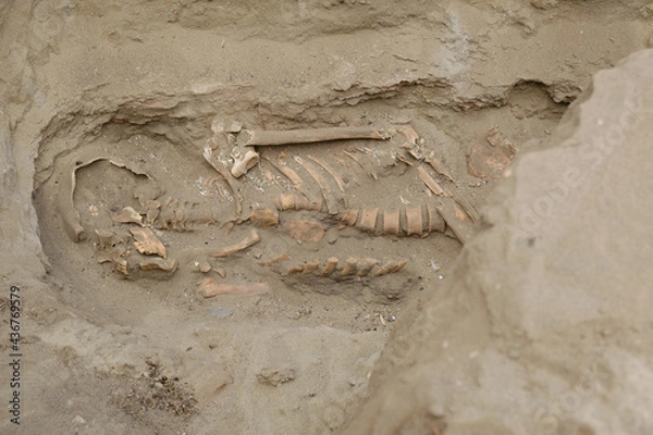 Obraz Excavación Huanchaco 