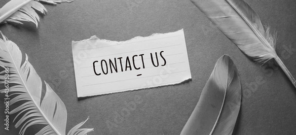 Fototapeta Words with contact us idea