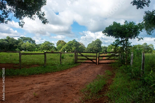 Obraz gatekeeper at cattle farm entrance