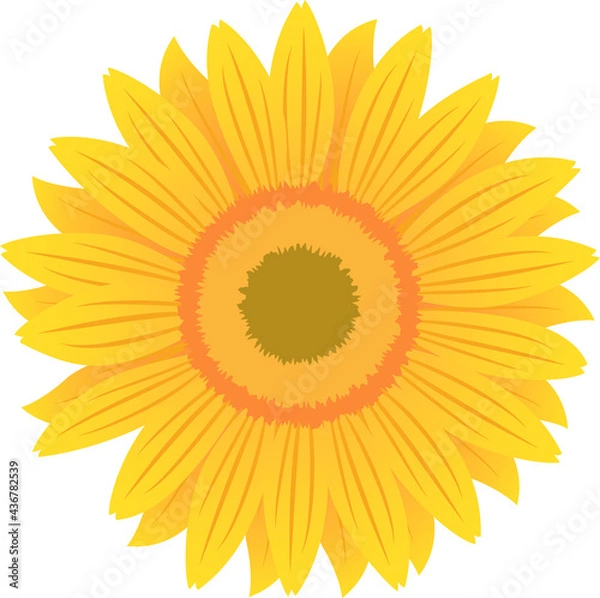 Obraz ひまわりのイラスト