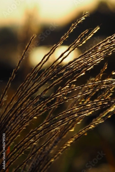 Obraz OLYMPUS DIGITAL CAMERA