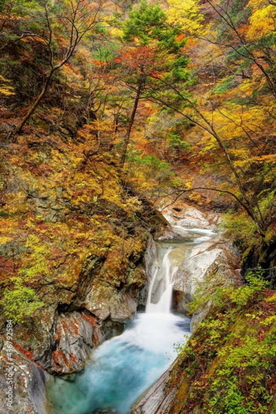 Fototapeta 錦秋の西沢渓谷貞泉の滝