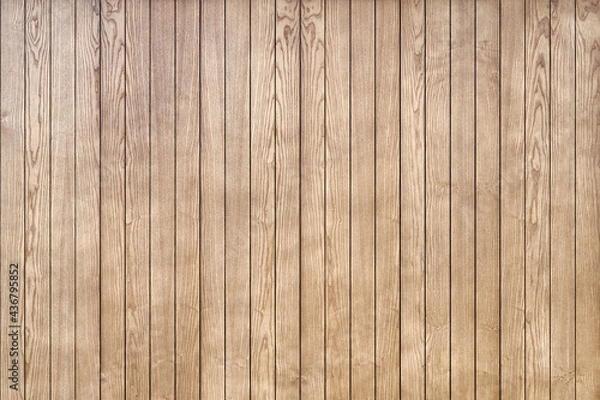 Fototapeta Stylish contemporary wainscoting made of thin light toned ash timber planks as textured background for design close view