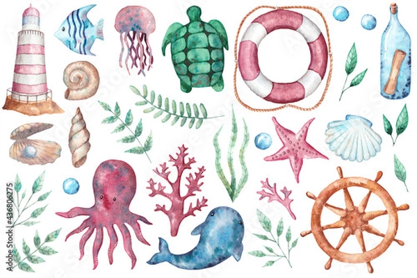 Obraz Watercolor hand-drawn set with sea and marine elements in green, bleu and red colors