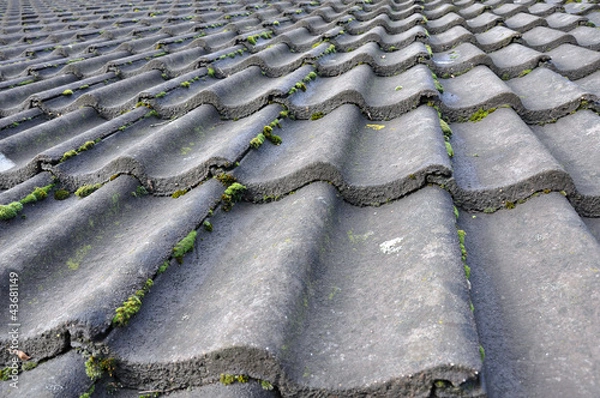 Obraz Dark grey tiled roof with moss