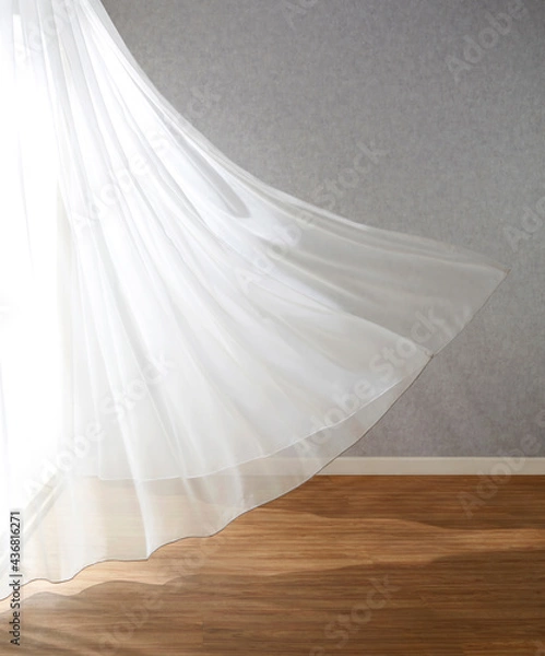 Obraz レースカーテン