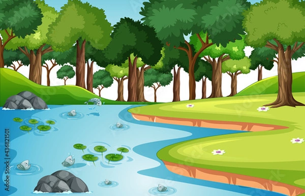 Fototapeta Nature outdoor forest background