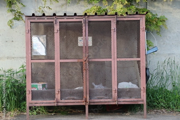 Obraz ゴミステーション