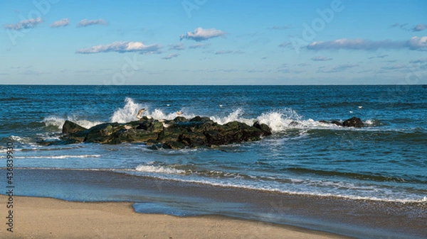 Obraz Seabirds on Jetty