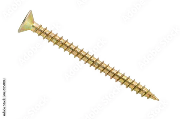 Obraz golden chipboard screw isolated on white background