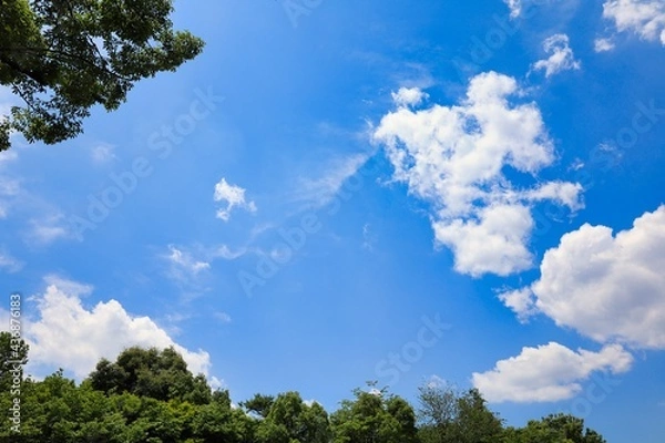 Fototapeta 晴れた青空に浮かぶ雲と森