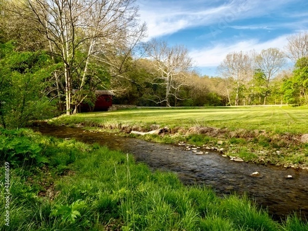 Obraz Spring landscape nature scene in Mingo Creek County Park in Washington County in Southwestern Pennsylvania with a creek flowing through the scenic park.