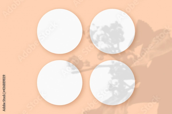 Fototapeta Mockup with vegetable shadows superimposed on 4 round sheets of textured white paper on a pink table background
