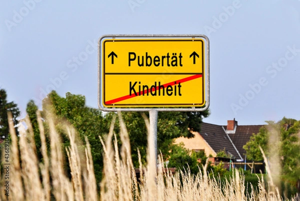 Obraz Pubertät Kindheit