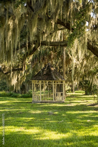Obraz gazebo in the park