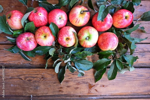 Fototapeta Fresh red-pink striped apples on a wooden brown background. Background with fresh fruit. The view from the top.