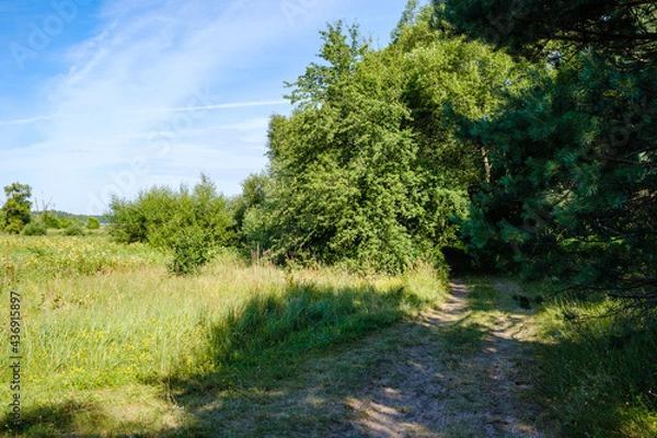 Fototapeta summer countryside fields and forests with blu sky above