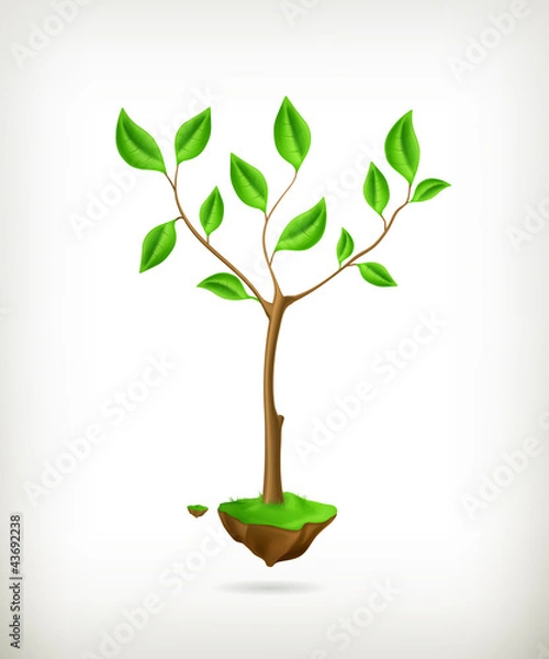 Fototapeta Tree