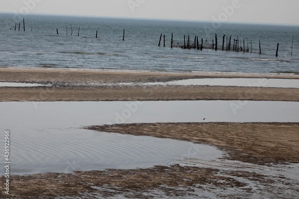 Fototapeta Low Tide at Chesapeake Bay (Sand, Pelicans, Pilings)