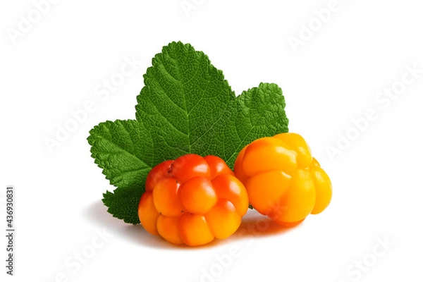 Fototapeta Two cloudberries with a leaf isolated on a white background with clipping path with and without shadow