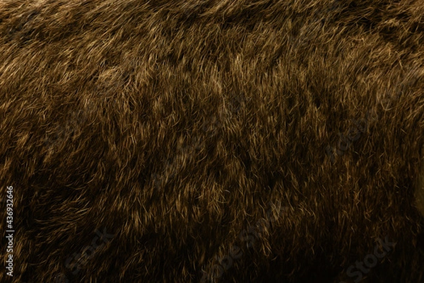 Obraz natural mammoth hide close-up, texture