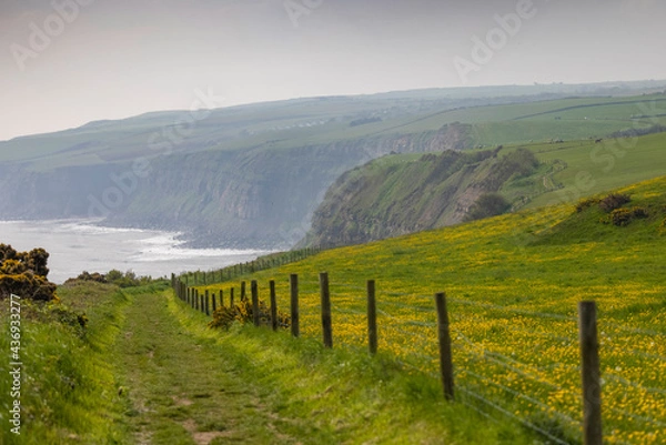 Obraz Yorkshire Coastline near Whitby, UK
