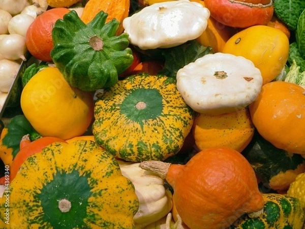 Fototapeta des courges