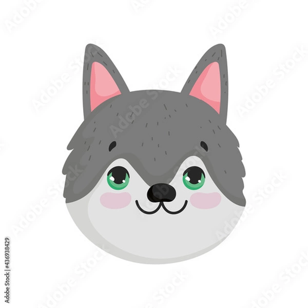 Fototapeta gray dog face