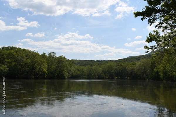 Obraz Trees by the River