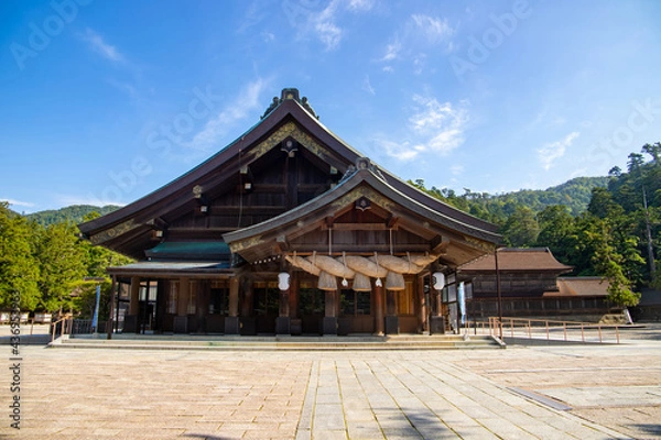 Fototapeta 青空の出雲大社　拝殿