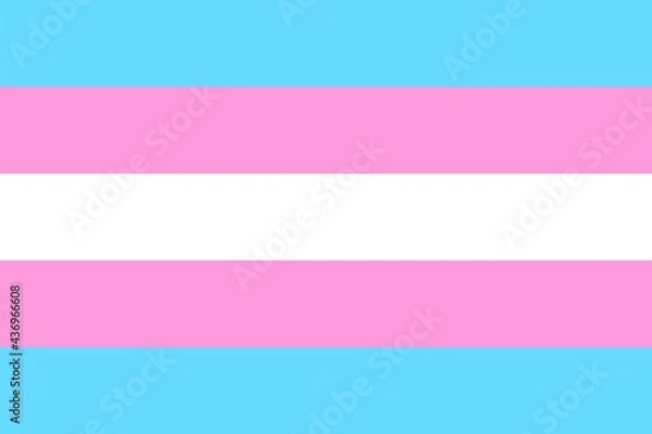 Fototapeta Transgender community flag with five horizontal stripes. Two light blue color for baby boys, two pink for girls, with white stripe in center for transitioning, neutral / no gender and intersex.
