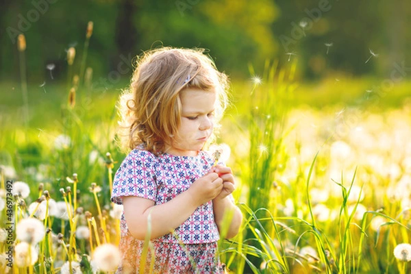 Fototapeta Adorable cute little baby girl blowing on a dandelion flower on the nature in the summer. Happy healthy beautiful toddler child with blowball, having fun. Bright sunset light, active kid.