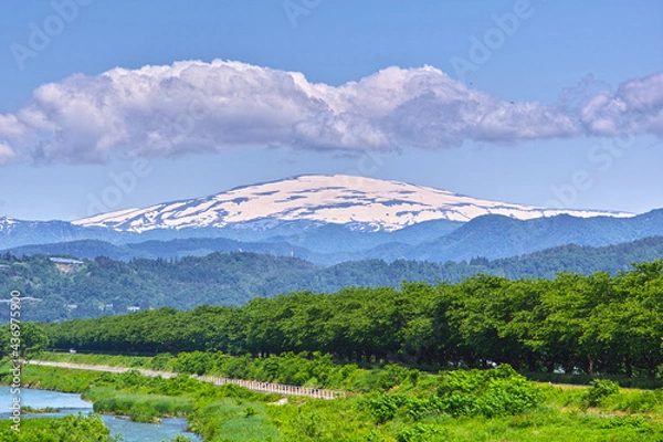 Obraz ６月の月山（山形県）

山形県河北町の溝延橋から雪解けの月山を望む。
堤防の桜の木は新緑に覆われ、月山は雪解けが進み山肌が見えてきました。
清々しい初夏の風景です。
