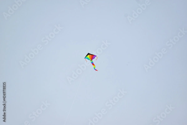 Fototapeta kite in the sky