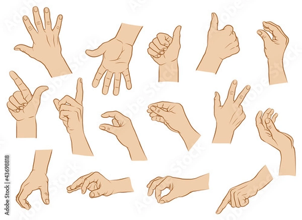 Obraz Dłonie, pozycje ręki, kolorowe