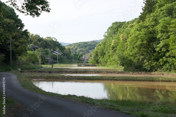 Obraz 山間に囲まれた田んぼを奥に向かって伸びる道