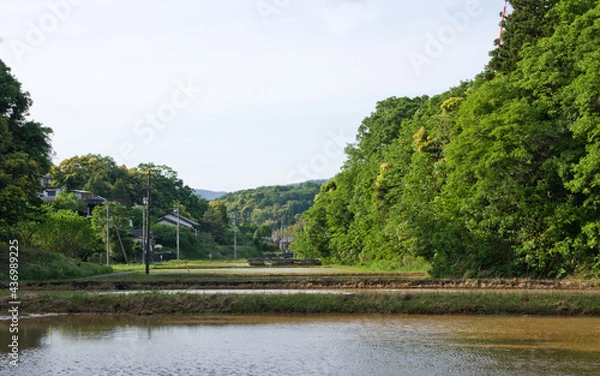 Obraz 山間に囲まれた田んぼを奥に向かって