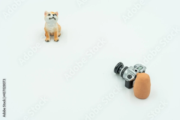 Obraz 犬とはにわの写真撮影