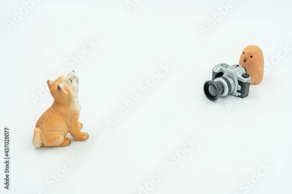 Obraz 犬とはにわの写真撮影