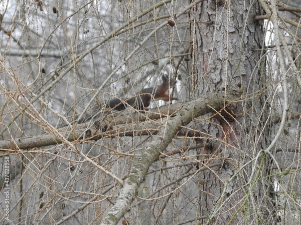 Obraz Ich träume von Dir! 