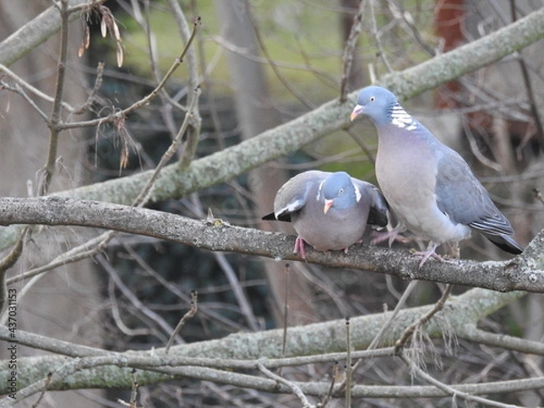Obraz Sei nicht so neugierig