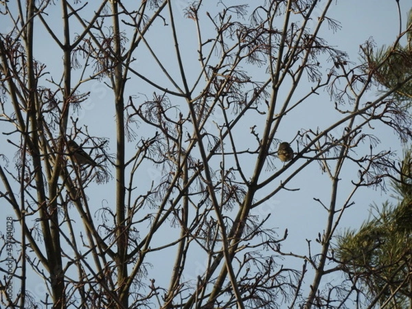 Fototapeta Schöne Aussichten! 