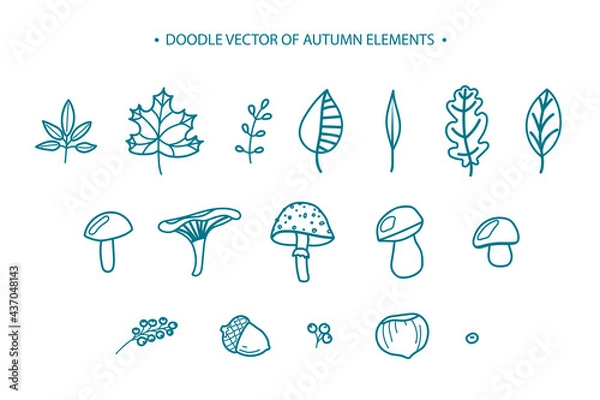 Obraz Set of hand-drawn line icons of autumn elements: leaves, berries, mushrooms, nuts. Vector flat illustration isolated on a white background.