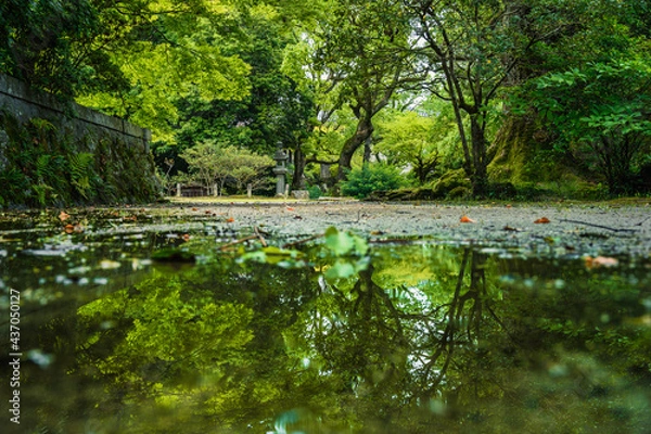 Obraz 水溜りに写る自然の世界