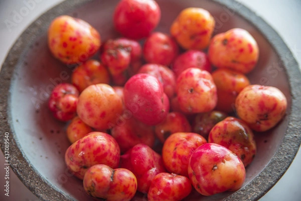 Obraz Andean Potatoes in dish