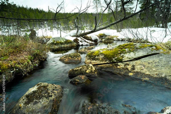 Fototapeta Spring creek with stones and moss in the foreground