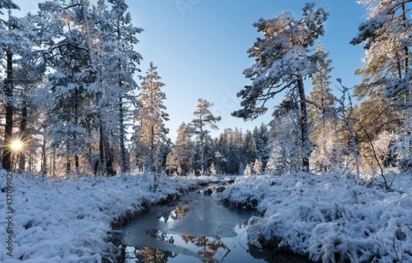 Fototapeta Freezing stream at sunset, the sun shines through the trees in the snow